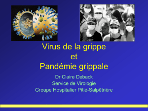 Pandémie de grippe aviaire : préparation de l`hôpital Robert Debré