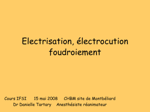 ELECTRISATION_IFSI_2008