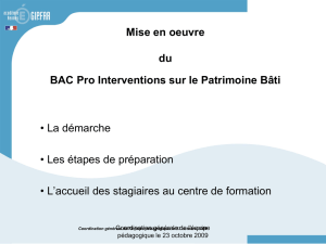 Mise en oeuvre du BAC Pro Interventions sur le Patrimoine Bâti