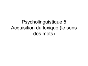 Psycholinguistique 5 Acquisition du lexique (le sens des mots)