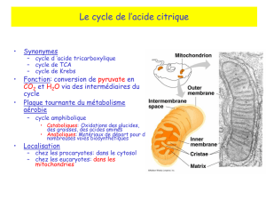Présentation PowerPoint - Biochimie générale BCHM1110