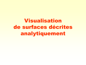 Visualisation de surfaces décrites analytiquement