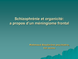 Schizophrénie et organicité - Docteur BOUDARENE Psychiatre et