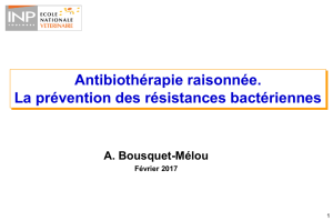 Antibiorésistance et schémas posologiques des antibiotiques