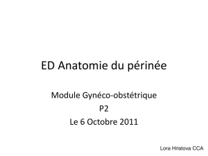 Diapositive 1 - L2 Bichat 2011-2012