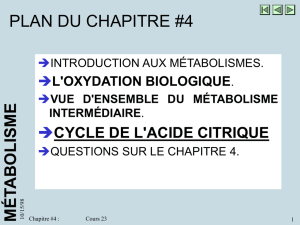 Cours 23