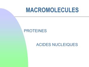 Macromolécules - Université Lyon 2