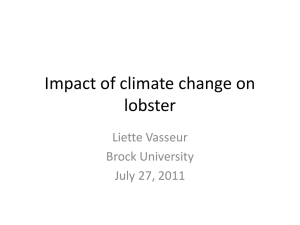 Impact of climate change on lobster - Atlantic Lobster Sustainability