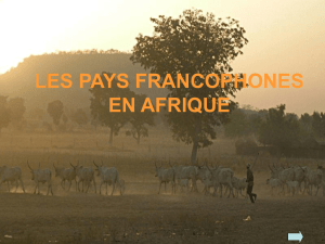 LES PAYS FRANCOPHONES EN AFRIQUE