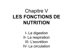 Chapitre V- LES FONCTIONS DE NUTRITION
