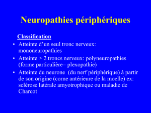 Neuropathies périphérques