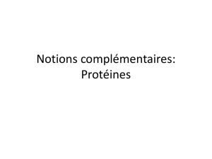 Notions complémentaires: Protéines