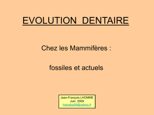 evolution dentaire - Vertébrés fossiles