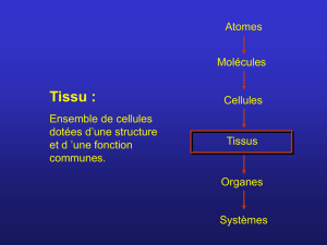 Diaporama tissus