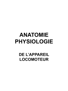 anatomie physiologie - le site de la promo 2006-2009