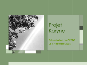 Présentation - Projet Karyne