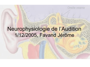 Neurophysiologie de l`Audition 1/12/2005, Favand.J