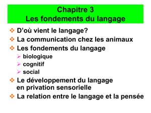 Chapter 1 The Study of Language