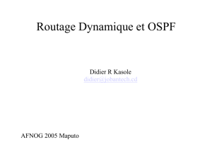 Routage Dynamique et OSPF Didier R Kasole