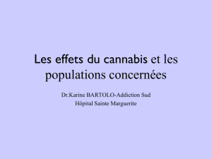 Les effets du cannabis
