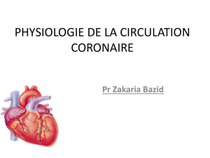 circulation coronaire2
