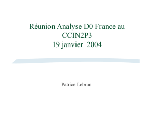 D0 France Réunions ccin2p3 du 5 décembre 2001