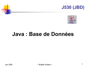 Java : Base de Données