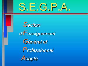 La scolarité en SEGPA - SBSSA