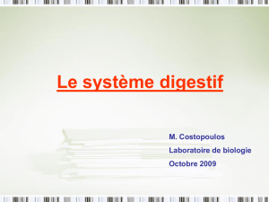 Diapositive 1