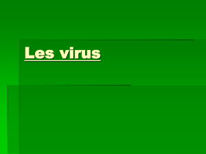 Les virus