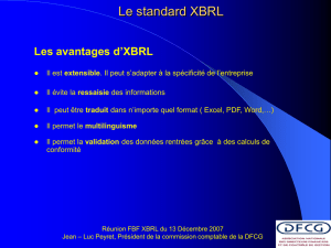 taxonomie XBRL - Vox-Fi