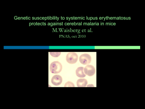 Genetic susceptibility to systemic lupus erythematosus protects