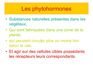 9. Les phytohormones - Echange TV.Le Valentin.free.fr
