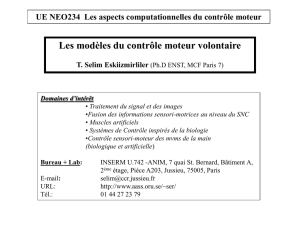 Aucun titre de diapositive