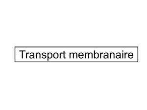 Transport membranaire