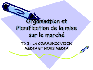 Organisation et Planification de la mise sur le marché