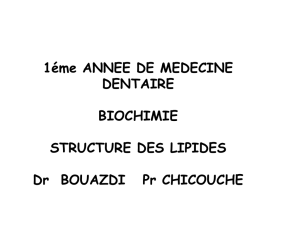 les lipides - medecine dentaire alger 2014-2015