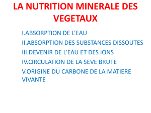 La nutrition minérale des végétaux leçon (pps)