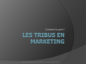 Les Tribus en Marketing: