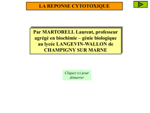 cytotoxicit‚