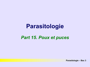 Parasitologie – Bac 3 ORDRE DES PHTIRAPTERES (poux)
