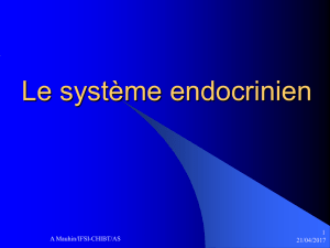 le-systeme-endocrinien-generalites