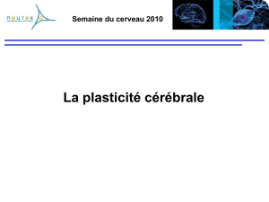 Plasticity v4 - Le Web Pedagogique