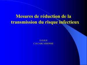 précautions-réductions-transmission-2010