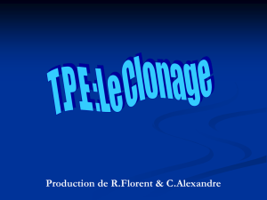 T.P.E : Le Clonage
