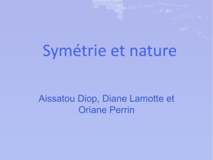 Symétrie et nature