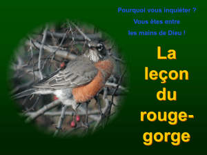 lecon_du_rouge