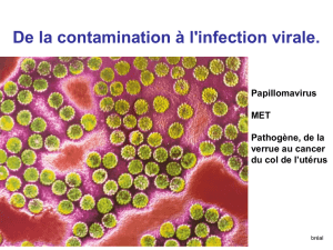 infection par virus