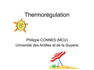 Thermorégulation - Université des Antilles et de la Guyane