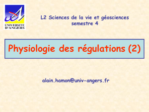 regulation hydrique, ADH